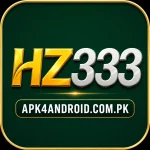 HZ333 Game