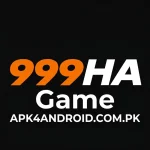 999HA Game